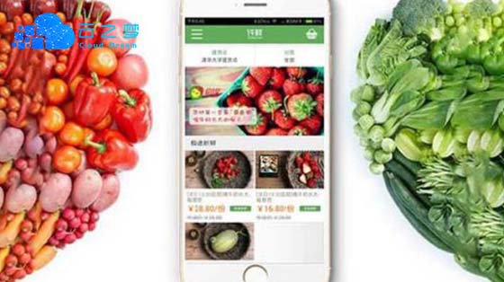 河南云之梦农产品app定制开发解决的方案_app开发公司